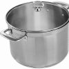 Stock Pots * | Chantal 21 Steel Induction Stock Pot W/ Glass Lid 8 Quart