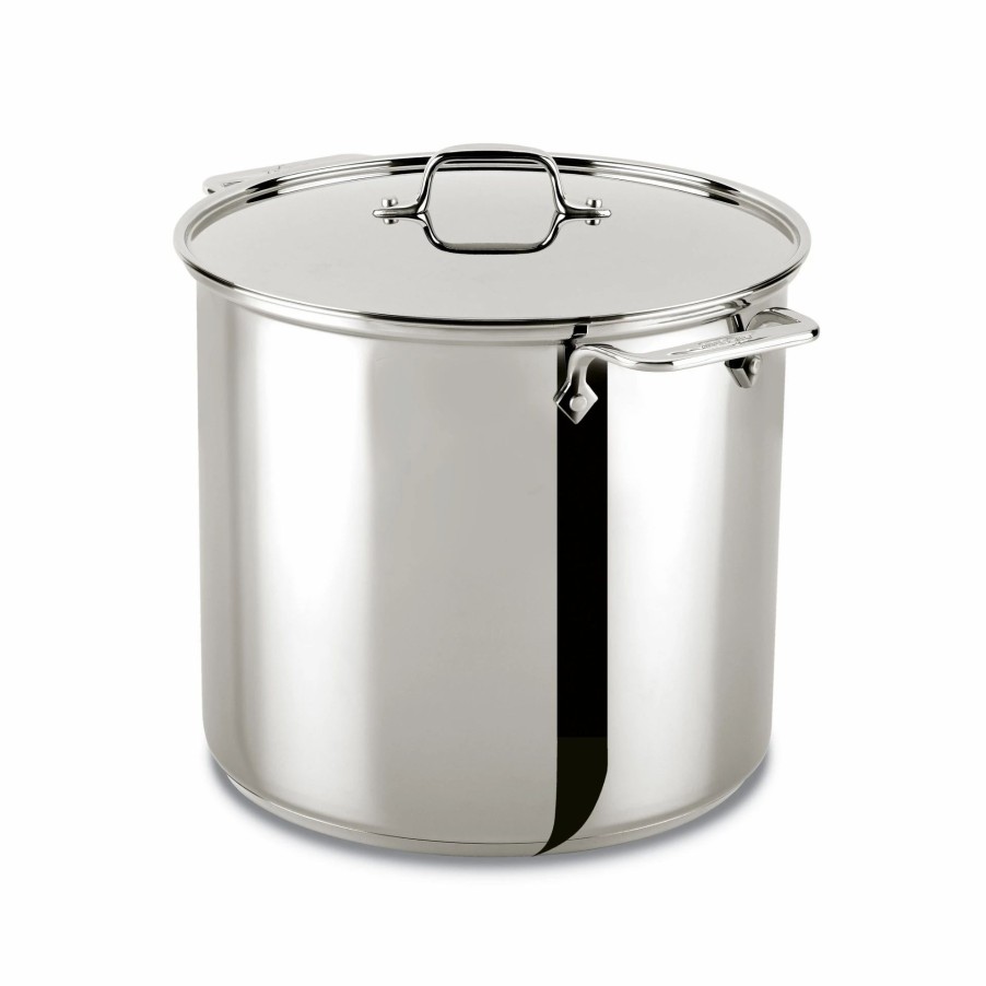 Stock Pots * | All-Clad Stainless Steel Stockpot & Lid | 16 Qt.